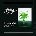 Yung: A Youthful Dream - COMPACT DISCS