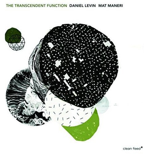 Daniel Levin: Transcendent Function - CD