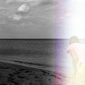 Drone: Perfect Blind -LP