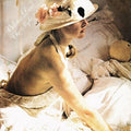 Valerie Dore: Night - 12-INCH SINGLE