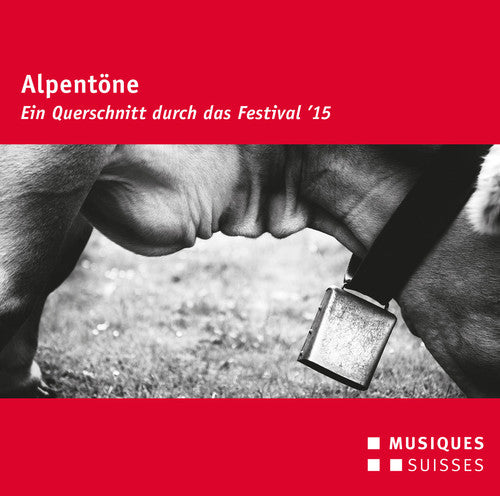 Avsenik, Slavko / Loibner, Matthias: Alpentone - Festival 2015 - CD