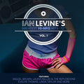 Ian Levine's Greatest Hi-Nrg Hits: 12 Coll 1 / Va: Ian Levine's Greatest Hi-NRG Hits: 12 Collection, Vol. 1 - CD