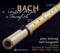 Bach, J.S. / Holtslag / Haugsand: Bach: Cembalo Obligato E Travers Solo - SUPER-AUDIO CD