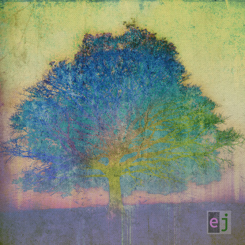 Eric Johnson: EJ - CD