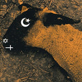 Ministry: Animositisomnia - CD