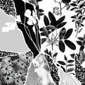 Ponctuation: Mon Herbier Du Monde Entier - (VINYL LP)