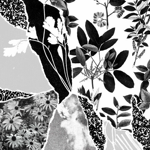 Ponctuation: Mon Herbier Du Monde Entier - (VINYL LP)