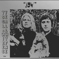 Ty Segall & White Fence: Joy - CD