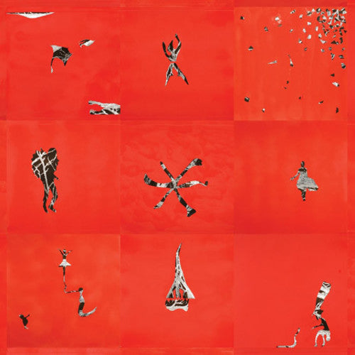 Animal Collective: Hollindagain -LP