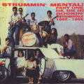 Various Artists: Strummin Mental, Vol. 1 (Various Artists) - CD