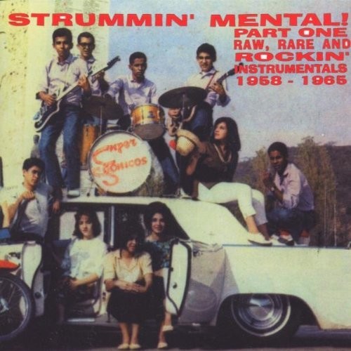 Various Artists: Strummin Mental, Vol. 1 (Various Artists) - CD