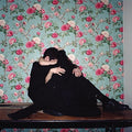 Ghost Twin: Plastic Heart - CD