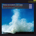 Quatuor Terpsycordes: Quartettsatz - CD