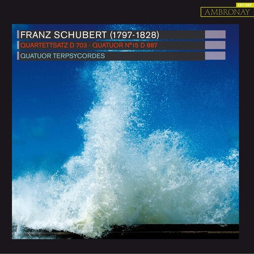 Quatuor Terpsycordes: Quartettsatz - CD