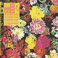 Ra Ra Riot: Superbloom - CD