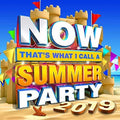 Various Artists: Now Summer Party / Various - CD