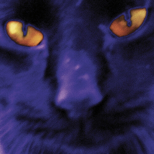 David Kilgour and the Heavy Eights: Bobbie's A Girl - CD