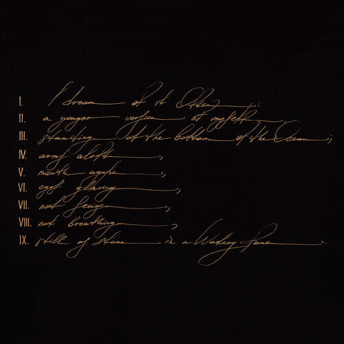 Telefon Tel Aviv: Dreams Are Not Enough -LP