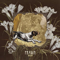 Prawn: Run - CD