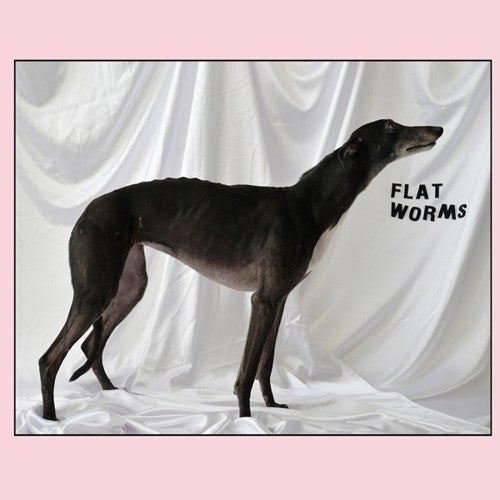 Flat Worms: Flat Worms - CD