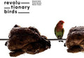 Revolutionary Birds: Revolutionary Birds - CD