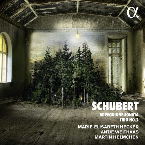 Schubert / Helmchen / Weithaas: Piano Trio in E Flat & Arpeggione Sonata a Minor - CD