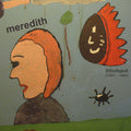 Meredith: Blindspot - CD