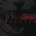 Accept: Predator - CD