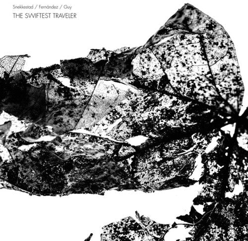 Snekkestad / Fernandez / Guy: The Swiftest Traveler - CD