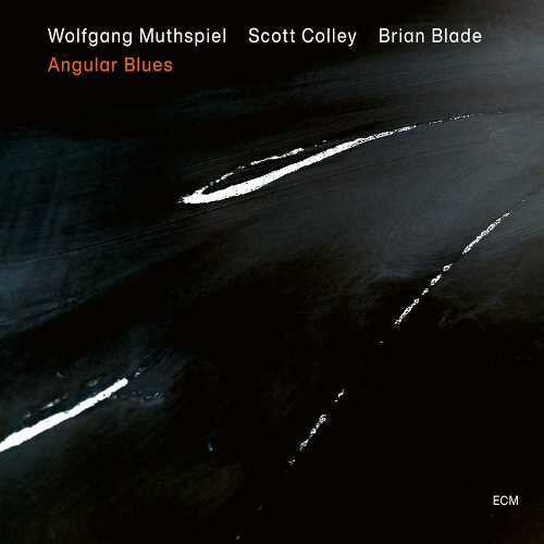 Wolfgang Muthspiel: Angular Blues - CD
