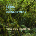 Schulkowsky Robyn: Now You Hear Me - CD