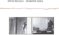 Steve Piccolo: Domestic Exile - CD