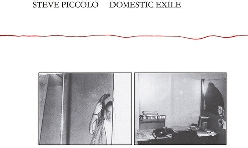 Steve Piccolo: Domestic Exile - CD