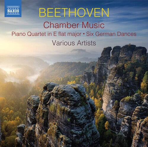 Various: Chamber Music - CD