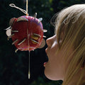 Puce Mary: The Drought - CD