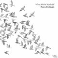 Sara Colman: What We're Made Of - COMPACT DISCS