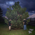 100 gecs: 1000 Gecs - (VINYL LP)