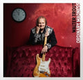 Walter Trout: Ordinary Madness - (VINYL LP)