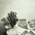 Beequeen: Winter - (VINYL LP)