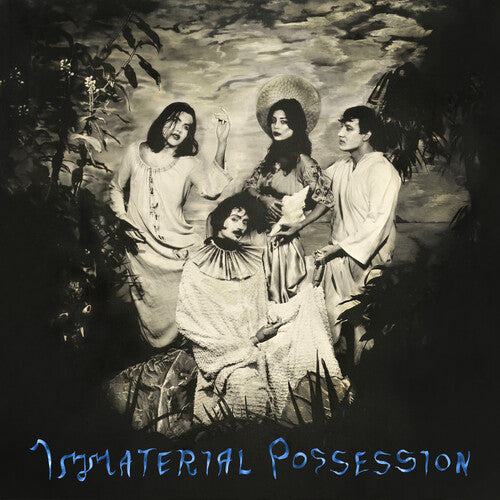 Immaterial Possession: Immaterial Possession - (VINYL LP)