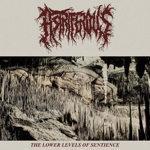 Astriferous: The Lower Levels Of Sentience - 12-INCH SINGLE