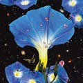 Sarah Louise: Nighttime Birds And Morning Stars -LP