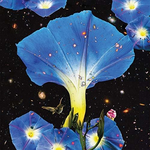 Sarah Louise: Nighttime Birds And Morning Stars -LP