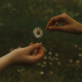 Goldmund: The Time It Takes - CD