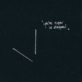 Ant Orange: You're Super In Diagonal - CD
