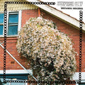 Surprise Chef: Dayling Savings - (VINYL LP)