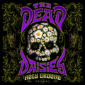 Dead Daisies: Holy Ground - CD