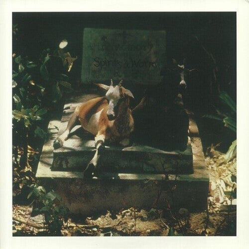 Spirits & Worm: Spirits & Worm - (VINYL LP)