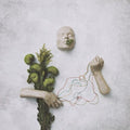 Red Steppes: A Mouth May Grow - (VINYL LP)