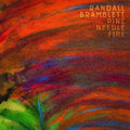 Randall Bramblett: Pine Needle Fire - (VINYL LP)